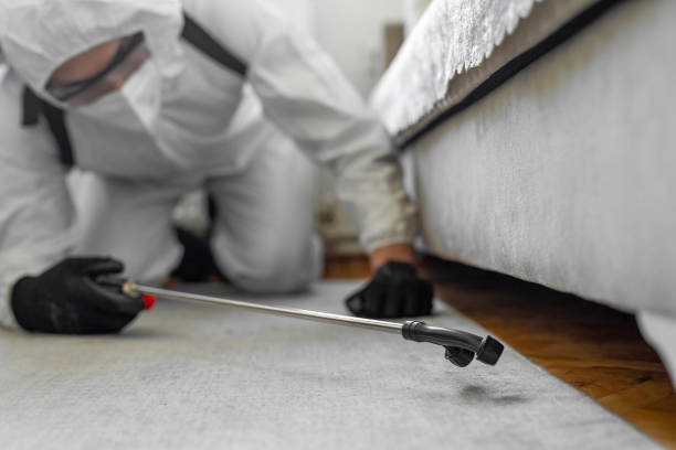 Professional Termite Control technician working in Whitewater, KS