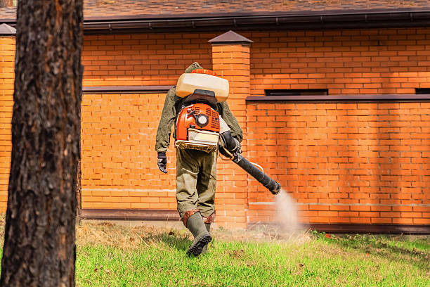 Trusted Termite Control service in Whitewater, KS - Nex Pest Control